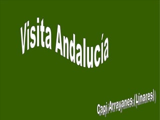 Visita Andalucía   Capi Arrayanes (Linares) 