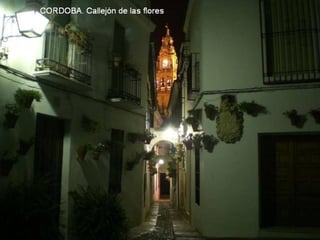 Andalucia de noche