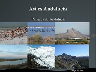 Asi es Andalucía ,[object Object],Jorge Molina 