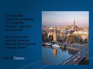  ¡Viva Sevilla! Llevan las sevillanas  en la mantilla un letrero que dice: ¡Viva Sevilla! Ay río de Sevilla, qué bien pareces lleno de flores blancas y ramas verdes. Foto de  Flickrcc 
