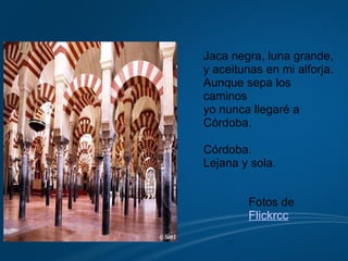     Fotos de  Flickrcc   Jaca negra, luna grande, y aceitunas en mi alforja. Aunque sepa los caminos  yo nunca llegaré a Córdoba. Córdoba. Lejana y sola.   