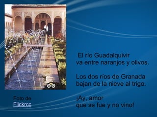   El río Guadalquivir va entre naranjos y olivos.   Los dos ríos de Granada bajan de la nieve al trigo. ¡Ay, amor que se fue y no vino!   Foto de  Flickrcc 
