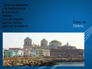    Entre la albahaca  y la hierbabuena, la lola canta saetas. La Lola aquella, que se miraba tanto en la alberca. Fotos  de  Flickrcc 