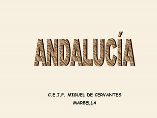 ANDALUCÍA C.E.I.P. MIGUEL DE CERVANTES MARBELLA 