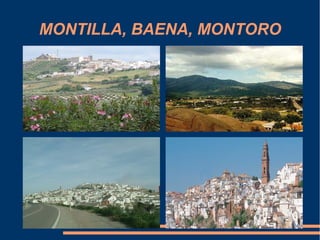 MONTILLA, BAENA, MONTORO
 