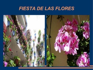 FIESTA DE LAS FLORES
 