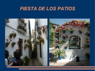 FIESTA DE LOS PATIOS
 