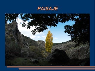 PAISAJE
 