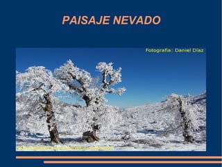 PAISAJE NEVADO
 