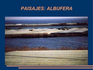 PAISAJES: ALBUFERA
 