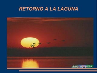 RETORNO A LA LAGUNA
 