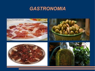 GASTRONOMIA
 