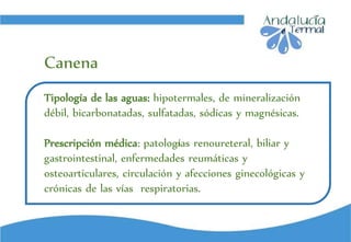 ci
Tipología de las aguas: hipotermales, de mineralización
débil, bicarbonatadas, sulfatadas, sódicas y magnésicas.
Prescripción médica: patologías renoureteral, biliar y
gastrointestinal, enfermedades reumáticas y
osteoarticulares, circulación y afecciones ginecológicas y
crónicas de las vías respiratorias.
Canena
 