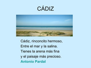 CÁDIZ




Cádiz, rinconcito hermoso,
Entre el mar y la salina.
Tienes la arena más fina
y el paisaje más precioso.
Antonio Pardal
 