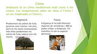 Clima
Andalusia té un clima mediterrani molt comú a les
costes. Les temperatures solen ser altes a l’estiu i
un xic moderades a l’hivern.
Vegetació
Predominen els arbres de fulla
perenne com l’alzina i els pins,
però en les zones muntanyoses
més altes predominen els
arbres de fulla caduca com els
roures.
Fauna
A Espanya hi ha 630 diferents
espècies de vertebrats i 400 es
poden trobar a Andalusia. Els
mamífers hi són la espècie
dominant.
 