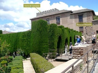 Torre de Comares




                   Palacios Nazaríes
 