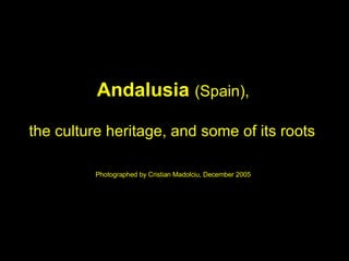 Andalusia   (Spain), Photographed by Cristian Madolciu, December 2005 the culture heritage, and some of its roots 