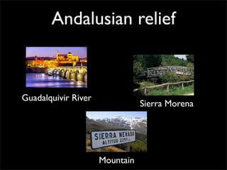 Andalusian relief
Mountain
Sierra Morena
Guadalquivir River
 