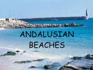 ANDALUSIAN
  BEACHES
 