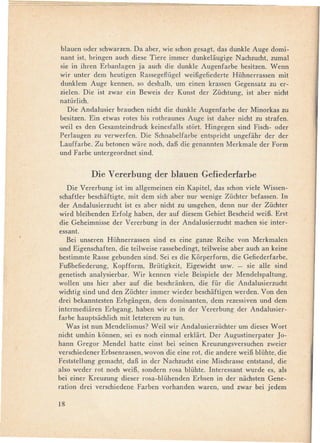 blauen oder schwarzen. Da aber, wie schon gesagt, das dunkle Auge domi-
nant ist, bringen auch diese Tiere immer dunkeliiugige N achzucht, zumal
sie in ihren Erbanlagen ja auch die dunkle Augenfarbe besitzen. Wenn
wir unter dem heutigen Rassegeflügel weiBgefiederte Hühnerrassen mit
dunklem Auge kennen, so deshalb, um einen krassen Gegensatz zu er-
zielen. Die ist zwar ein Beweis der Kunst der Züchtung, ist aber nicht
natürlich.
   Die Andalusier brauchen nicht die dunkle Augenfarbe der Minorkas zu
besitzen. Ein etwas rotes bis rotbraunes Auge ist daher nicht zu strafen.
weil es den Gesamteindruck keinesfalls stort. Hingegen sind Fisch- oder
Perlaugen zu verwerfen. Die Schnabelfarbe entspricht ungefiihr der der
Lauffarbe. Zu betonen wiire noch, daB die genannten Merkmale der Form
und Farbe untergeordnet sind.


          Die Vererbung        der blauen      Gefiederfarbe
   Die Vererbung ist im allgemeinen ein Kapitel, das schon viele Wissen-
schaftler beschiiftigte, mit dem sich aber nur wenige Züchter befassen. In
der Andalusierzucht ist es aber nicht zu umgehen, denn nur der Züchter
wird bleibenden Erfolg haben, der auf diesem Gebiet Bescheid weiB. Erst
die Geheimnisse der Vererbung in der Andalusierzucht machen sie inter-
essant.
   Bei unseren Hühnerrassen sind es eine ganze Reihe von Merkmalen
und Eigenschaften, die teilweise rassebedingt, teilweise aber auch an keine
bestimmte Rasse gebunden sind. Sei es die Korperform, die Gefiederfarbe,
FuBbefiederung, Kopfform, Brütigkeit, Eigewicht usw. - sie alle sind
genetisch analysierbar. Wir kennen viele Beispiele der Mendelspaltung,
wollen uns hier aber auf die beschriinken, die für die Andalusierzucht
wichtig sind und den Züchter immer wieder beschiiftigen werden. Von den
drei bekanntesten Erbgiingen, dem dominanten, dem rezessiven und dem
intermediiiren Erbgang, haben wir es in der Vererbung der Andalusier-
farbe hauptsiichlich mit letzterem zu tuno
   Was ist nun Mendelismus? Weil wir Andalusierzüchter um dieses Wort
nicht umhin konnen, sei es noch einmal erkliirt. Der Augustinerpater J0-
hann Gregor Mendel hatte einst bei seinen Kreuzungsversuchen zweier
verschiedener Erbsenrassen, wovon'die eine rot, die andere weiB blühte, die
Feststellung gemacht, daB in der Nachzucht eine Mischrasse entstand, die
also weder rot noch weiB, sondern rosa blühte. Interessant wurde es, als
bei einer Kreuzung dieser rosa-blühenden Erbsen in der niichsten Gene-
ration drei verschiedene Farben vorhanden waren, und zwar bei jedem

18
 