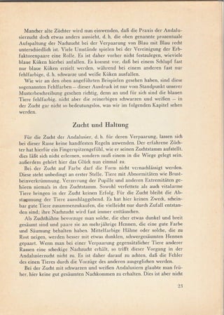 Mancher alte Züchter wird nun einwenden, da~ die Praxis der Andalu-
sierzucht doch etwas anders aussieht, d. h. die oben genannte prozentuale
Aufspaltung der Nachzucht bei der Verpaarung von Blau mit Blau recht
unterschiedlich ist. Viele Umstiinde spielen bei der Vereinigung der Erb-
faktorenpaare eine Rolle. Es ist daher vorher nicht festzulegen, wieviele
blaue Küken hierbei anfallen. Es kommt vor, da~ bei einem Schlupf fast
nur blaue Küken erzielt werden, wiihrend bei einem anderen fast nur
fehlfarbige, d. h. schwarze und wei~e Küken ausfallen.
   Wie wir an den oben angeführten Beispielen gesehen haben, sind diese
sogenannten Fehlfarben - dieser Ausdruck ist nur vom Standpunkt unserer
Musterbeschreibung gesehen richtig, denn an und für sich sind die blauen
Tiere fehlfarbig, nicht aber die reinerbigen schwarzen und wei~en - in
der Zucht gar nicht so bedeutungslos, was wir im folgenden Kapitel sehen
werden.


                        Zucht und Haltung
   Für die Zucht der Andalusier, d. h. für deren Verpaarung, lassen sich
bei dieser Rasse keine handfesten Regeln anwenden. Der erfahrene Züch-
ter hat hierfür ein Fingerspitzengefühl, wie er seinen Zuchtstamm aufstellt,
dies lii~t sich nicht erlernen, sondern mu~ einem in die Wiege gelegt sein,
au~erdem gehort hier das Glück nun einmal zu.
   Bei. der Zucht auf Farbe darf die Form nicht vernachliissigt werden.
Diese steht unbedingt an erster Stelle. Tiere mit Abnormitiiten wie Brust-
beinverkrümmung, Verzerrung der Pupille und anderen Extremitiiten ge-
horen niemals in den Zuchtstamm. Sowohl verfettete als auch vitalarme
Tiere bringen in der Zucht keinen Erfolg. Für die Zucht bleibt die Ab-
sta1Jlmung der Tiere ausschlaggebend. Es hat hier keinen Zweck, schein-
bar gute Tiere zusammenzukaufen, die vielleicht nur durch Zufall entstan-
den sind; ihre Nachzucht wird fast immer enttiiuschen.
   Als Zuchthiihne bevorzuge man solche, die eher etwas dunkel und breit
gesaumt sind und paare sie an mehrjiihrige Hennen, die eine gute Farbe
und Siiumung behalten haben. Mittelfarbige Hiihne oder solche, die zu
Rost neigen, werden besser mit etwas dunklen, schwergesiiumten Hennen
gepaart. Wenn man bei einer Verpaarung gegensiitzlicher Tiere anderer
Rassen eine scheckige N achzucht erhiilt, so trifft dieser V organg in der
Andalusierzucht nicht zu. Es ist daher darauf zu achten, da~ die Fehler
des einen Tieres durch die V orzüge des anderen ausgeglichen werden.
   Bei der Zucht mit schwarzen und wei~en Andalusiern glaubte man frü-
her, hier keine gut gesiiumten Nachkommen zu erhalten. Dies ist aber nicht

                                                                         23
 