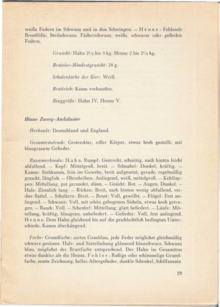 weiEe Federn irn Schwanz und in den Schwingen. - He n n e: Fehlende
Brustfülle, Steilschwanz, Fiicherschwanz, weiEe, schwarze oder gefleckte
Federn.

              Gewicht: Hahn 21/2 bis 3 kg, Henne 2 bis 21/2kg.

              Bruteier-Mindestgewicht: 58 g.

              Sdwlenfarbe der Eier: WeiE.

              Bruttrieb: Kaurn vorhanden.

              Ringgrolk- Hahn IV, Henne V.


Blaue Zwerg-Andalusier

  Herkunft:   Deutschland und England.

   Gesamteindruck: Gestreckter,    edler Korper,   etwas hoch gestellt,   rnit
blaugrauern Gefieder.

   Rassemerkmale: Ha h n. Rurnpf: Gestreckt, schnittig, nach hinten leicht
abfallend. - Kopf: MittelgroE, breit. - Schnabel: Dunkel, kriiftig. -
Karnrn: Stehkarnrn, fe in irn Gewebe, breit aufgesetzt, gerade, regelrniiEig
gezackt, liinglich. - Ohrscheiben: Anliegend, weiE, rnittelgroE. - Kehllap-
pen: Mittellang,    gut gerundet, dünn. - Gesicht: Rot. - Augen: Dunkel. -
Hals: Ziernlich lang. - Rücken: Breit, nach hinten wenig abfallend, rei-
cher Sattel. - Schultern: Breit. - Brust: Voll, gewolbt. - Flügel: Fest an-
liegend. - Schwanz: Voll, rnit schon gebogenen Sicheln, etwas hoch getra-
gen. - Bauch: Voll. - Schenkel: Mittellang, glatt befiedert. - Liiufe: Mit-
tellang, kriiftig, blaugrau, unbefiedert. - Gefieder: Voll, fest anliegend.
He nne. Dern Hahn gleichend bis auf die geschlechtlich bedingten Unter-
schiede. Karnrn überhiingend.

   Farbe: Grundfarbe: zartes Graublau, jede Feder rnoglichst gleichrniiEig
schwarz gesiiurnt. Hals- und Sattelbehang gliinzend blauschwarz. Schwanz
blau, rnoglichst der Brustfarbe entsprechend. Der Hahn irn Gesarntton
etwas dunkler als die Henne. F e h 1 e r : RuEige oder schirnrnelige Grund-
farbe, rnatte Zeichnung, helles Aftergefieder, dunkle Schenkel, Schilfansatz.

                                                                           29
 