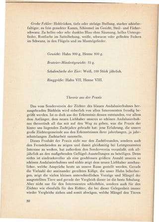 =--=.-.   ._-~   _Ii!!"




   Grobe Fehler: Hohlrücken, tiefe oder stelzige Stellung, starker schiefer-
faltiger, zu fe in gezackter Kamm, Schimmel im Gesicht, Steil- und Facher-
schwanz. Zu helles oder sehr dunkles Blau ohne Saumung, helles Unterge-
fieder, Rostfarbe im Sattelbehang, weiBe, schwarze oder gefleckte Federn
im Schwanz, in den Flügeln und im Mantelgefieder.


                      Gewicht: Hahn 900 g, Henne 800 g.

                      Bruteier-Mindestgewicht: 35 g.

                      Schalenfarbe der Eier: WeiB, 100 Stück jahrlich.

                      Ringgrolk Hahn VII, Henne VIII.



                                  Theorie aus der Praxis

   Das vom Sonderverein der Züchter des blauen Andalusierhuhnes her-
ausgebrachte Büchlein wird sicherlich von allen Interessenten freudig be-
grüBt werden. 1st es doch aus der Erkenntnis dessen entstanden, vor allem
dem Anfanger, dem neuen Liebhaber un seres so schonen Andalusierhuh-
nes theoretisch all das mit auf den Weg zu geben, was die Praxis der
hinter uns liegenden Zuchtjahre gebracht hat: jene Erfahrung, die unsere
groBe Züchtergemeinde aus den Erkenntnissen ihrer jahrelangen, ja jahr-
zehntelangen Zuchtarbeit sammelte.
   Dieses Produkt der Praxis nicht nur den Zuchtfreunden, sondern auch
den Fernstehenden zu zeigen und damit gleichzeitig bei Letztgenannten
Interesse zu wecken, hat auBerdem den Sonderverein veranlaBt, sich all-
jahrlich an den maBgebenden Geflügel-Ausstellungen     zu beteiligen. Denn
nichts ist eindrucksvoller als eine geschlossen groBere Anzahl unseres so
schonen Andalusierhuhnes und nichts zeigt dem neuen Liebhaber anschau-
licher, welche Ansprüche heute an unsere Rasse gestellt werden. Gerade
die Vielzahl der aneinander gereihten Kafige, die unser Huhn beherber-
gen, zeigt die vielen kleinen unterschiedlichen Vorzüge und Mangel der
ausgestellten Tiere und gerade der Vergleich dieser ist die beste Schulung.
Aber nicht nur für den Interessenten schlechthin, sondern auch für den
Züchter wie ebenfalls für den Richter, die bei dieser Gelegenheit immer
wieder Vergleiche ziehen und somit abwagen, welche Mangel den Tieren

30
 