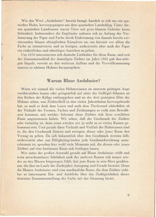 Wie das Wort "Andalusier" bereits besagt, handelt es sich um ein spa-
    nisches Huhn, hervorgegangen aus dem spanischen Landschlag. Unter die-
    sen spanischen Landrassen waren Tiere mit grau-blauem Gefieder keine
    Seltenheit. Insbesondere die Englander nahmen sich zu Anfang der Ver-
    besserung der Figur und Farbe durch Einkreuzung von damals bereits exi-
.   stierenden blauen altenglischen Kampfern an, um hiermit vor allem die
    Farbe zu intensivieren und zu festigen, andererseits aber auch der Figur
    cin einheitliches und schnittiges Aussehen zu geben.
       Um 1870 interessierten sich deutsche Liebhaber für diese Rasse, und erst
    der ZusammenschluB der damal.igen Züchter im Jahre 1895 gab den noti-
    gen Impuls, vereint an den weiteren Aufbau und die Vervollkommnung
    unseres so schonen Huhnes heranzugehen.


                       Warum Blaue Andalusier?
       Wenn wir einmal die vielen Hühnerrassen an unserem geistigen Auge
    vorüberziehen lassen oder gelegentlich auf einer der Geflügel-Schauen an
    den Reihen der Kafige entlanggehen und an der dort gezeigten Elite der
    Hühner sehen, was ZüchterfleiB in den vielen Jahrzehnten hervorgebracht
    hat, so muB es doch dem Laien und auch dem Tierfreund schlechthin ob
    der Vielzahl der Formen, Farben und Zeichnungen so recht zum BewuBt-
    sein kommen, mit welcher Inbrunst diese Züchter sich ihrer erwahlten
    Rasse angenommen haben. Wir sehen, daB der Geschmack der Züchter
    sehr vielseitig ist, denn sonst würden wir ja nicht zu so vielen Rassen ge-
    kommen sein. Und gerade diese Vielzahl und Vielfalt der Huhnrassen sind
    es, die den Geschmack liiutern und zwingen, dieser oder jener Rasse den
    V orzug zu geben. Da sich bekanntlich über den Geschmack streiten liiBt,
    andererseits aber aus Billigkeitsgründen   jede Geschmacksrichtung anzu-
    erkennen ist, sprechen hier wohl viele Momente mit, die diesen oder jenen
    Züchter auf eine bestimmte Rasse sich festlegen lassen.
       Wer unter der groBen Auswahl gerade auf Blaue Andalusier stoBt und
    trotz unverkennbarer Schonheit auch der anderen Rassen sich immer wie-
    der zu den Blauen hingezogen fühlt, hat jene Rasse in sein Herz geschlos-
    sen, die ihm im Laufe der Zuchtjahre Anregung und Freude bereitet. Denn
    die Blauen Andalusier sind eine anschauliche Rasse, die dem Züchter sicht-
    bar so interessante Ein- und Ausblicke über das Zuchtgeschehen dieser
    dezenten Zusammenstellung der Farbe mit der Siiumung bietet.



                                                                             9
 