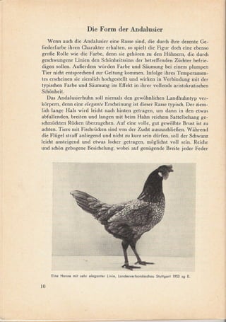 Die Forro der Andalusier
   Wenn auch die Andalusier eine Rasse sind, die durch ihre dezente Ge-
fiederfarbe ihren Charakter erhalten, so spielt die Figur doch eine ebenso
graBe Rolle wie die Farbe, den n sie gehoren zu den Hühnern, die durch
geschwungene Linien den Schonheitssinn der betreffenden Züchter befrie-
digen sollen. AuBerdem würden Farbe und Siiumung bei einem plumpen
Tier nicht entsprechend Zl1rGeltung kommen. Infolge ihres Temperamen-
tes erscheinen sie ziemlich hochgestellt und wirken in Verbindung mit der
typischen Farbe und Siiumung im Effekt in ihrer vollends aristokratischen
Schonheit.
   Das Andalusierhuhn soll niemals den gewohnlichen Landhuhntyp ver-
korpern, denn eine elegante Erscheinung ist dieser Rasse typisch. Der ziem-
lich lange Hals wird leicht nach hinten getragen, um dann in den etwas
abfallenden, breiten und langen mit beim Hahn reichem Sattelbehang ge-
schmückten Rücken überzugehen. Auf eine volle, gut gewolbte Brust ist zu
achten. Tiere mit Fischrücken sind van der Zucht auszuschlieBen. Wiihrend
die Flügel straff anliegend und nicht zu kurz sein dürfen, soll der Schwanz
leicht ansteigend und etwas locker getragen, moglichst voll sein. Reiche
und schon gebogene Besichelung. wobei auf genügende Breite jeder Feder




     Eine Henne mit sehr eleganter   linie,   landesverbandsschau   Stuttgart   1953sg   E.
10




       ---    -   -~-----
 