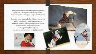 Najsłynniejsza rasa koni z Hiszpanii co prawda
pochodzi z półwyspu Iberyjskiego jednak
niezaprzeczalnie kojarzy się z rejonem Andaluzji!
Przecież nasza sławna Polka - Blanka Satora jest
wielką miłośniczką koni Andaluzyjskich.
Obecnie mieszka w Hiszpanii gdzie ma szansę
zaprezentować swoje umiejętności
w Hiszpańskiej Szkole Jazdy.
Spójrz jak niesamowicie wyglądają razem!
 