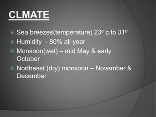 CLMATE
 Sea breezes(temperature) 23o c to 31o
 Humidity - 80% all year
 Monsoon(wet) – mid May & early
October
 Northeast (dry) monsoon – November &
December
 