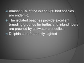  Almost 50% of the island 250 bird species
are endemic.
 The isolated beaches provide excellent
breeding grounds for turtles and inland rivers
are prowled by saltwater crocodiles.
 Dolphins are frequently sighted
 