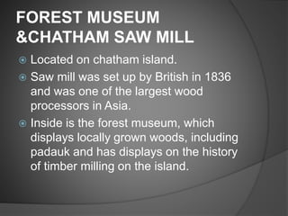 FOREST MUSEUM
&CHATHAM SAW MILL
 Located on chatham island.
 Saw mill was set up by British in 1836
and was one of the largest wood
processors in Asia.
 Inside is the forest museum, which
displays locally grown woods, including
padauk and has displays on the history
of timber milling on the island.
 