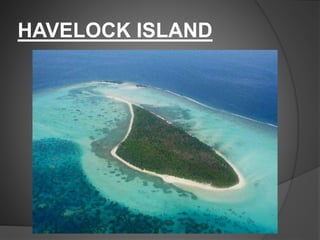 HAVELOCK ISLAND
 