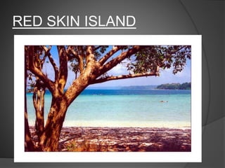 RED SKIN ISLAND
 