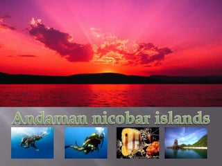Andaman nicobar islands 