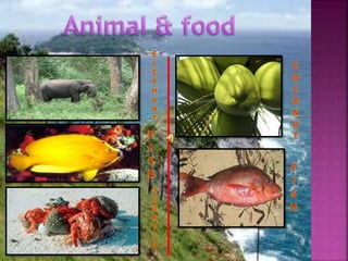 Andaman and nicobar island.pdf