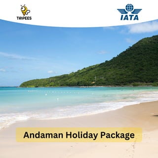 Andaman Holiday Package
 
