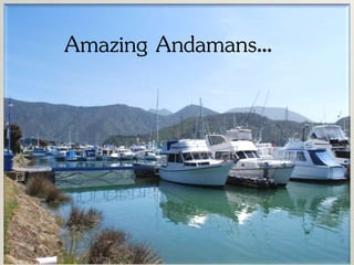 Amazing Andamans…
 
