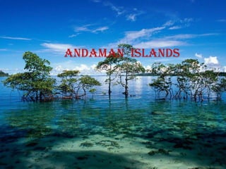 Andaman islands
 
