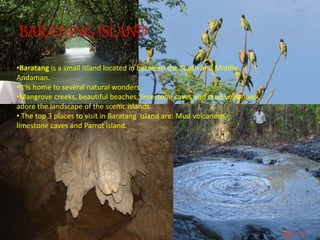 BARATANG ISLAND
•Baratang is a small island located in between the South and Middle
Andaman.
•It is home to several natural wonders .
•Mangrove creeks, beautiful beaches, limestone caves and mud volcanoes
adore the landscape of the scenic islands.
• The top 3 places to visit in Baratang island are: Mud volcanoes,
limestone caves and Parrot island.
 