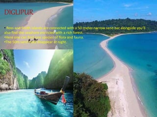 DIGLIPUR
• Ross and Smith islands are connected with a 50-meter narrow sand bar alongside you’ll
also find the seashore encircled with a rich forest.
•Here one can find rare species of flora and fauna.
•The 50m sand road disappear at night.
 