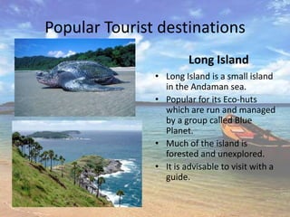 Popular Tourist destinations
                        Long Island
               • Long Island is a small island
                 in the Andaman sea.
               • Popular for its Eco-huts
                 which are run and managed
                 by a group called Blue
                 Planet.
               • Much of the island is
                 forested and unexplored.
               • It is advisable to visit with a
                 guide.
 