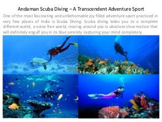 Andaman Scuba Diving – A Transcendent Adventure Sport 
One of the most fascinating and unfathomable joy filled adventure sport practiced in very few places of India is Scuba Diving. Scuba diving takes you to a complete different world, a noise free world, moving around you in absolute slow motion that will definitely engulf you in its blue serenity capturing your mind completely. 
 
