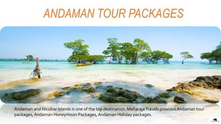 ANDAMAN TOUR PACKAGES
Andaman and Nicobar Islands is one of the top destination. MaharajaTravels provides Andaman tour
packages,Andaman Honeymoon Packages,Andaman Holiday packages.
 