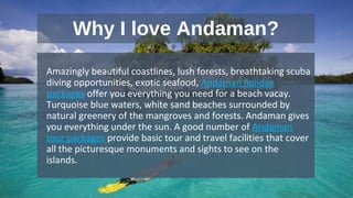 Why I love Andaman?
•
Amazingly beautiful coastlines, lush forests, breathtaking scuba
diving opportunities, exotic seafood, Andaman holiday
packages offer you everything you need for a beach vacay.
Turquoise blue waters, white sand beaches surrounded by
natural greenery of the mangroves and forests. Andaman gives
you everything under the sun. A good number of Andaman
tour packages provide basic tour and travel facilities that cover
all the picturesque monuments and sights to see on the
islands.
 