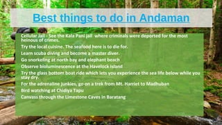 Best things to do in Andaman
•
Cellular Jail - See the Kala Pani jail where criminals were deported for the most
heinous of crimes.
•
Try the local cuisine. The seafood here is to die for.
•
Learn scuba diving and become a master diver.
•
Go snorkeling at north bay and elephant beach
•
Observe bioluminescence at the Havelock Island
•
Try the glass bottom boat ride which lets you experience the sea life below while you
stay dry.
•
For the adrenaline junkies, go on a trek from Mt. Harriet to Madhuban
•
Bird watching at Chidiya Tapu
•
Canvass through the Limestone Caves in Baratang
 