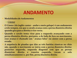 ANDAMENTO
 Modalidades de Andamentos
 Cânter
 O Cânter (do inglês canter - andar a meio galope) é um andamento
a três tempos, em que o cavalo avança com a perna dianteira direita
quando gira para a direita e vice-versa.
 Quando o cavalo tenta virar para a esquerda avançando com a
perna dianteira direita, portanto, a do lado de fora no movimento,
esse avanço é chamado um " avanço falso" ou cânter com a perna
errada.
 A sequência de pisadas que dão as três batidas rítmicas no chão
são, quando o movimento se inicia com a perna dianteira direita:
posterior esquerda, esquerda diagonol (em que as pernas
dianteiras direita e traseira esquerda, tocam o solo
simultaneamente) e, por fim, perna dianteira direita
 
