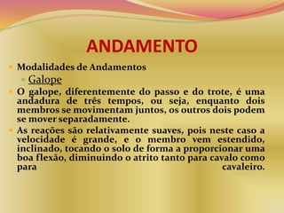 ANDAMENTO
 Modalidades de Andamentos
 Galope
 O galope, diferentemente do passo e do trote, é uma
andadura de três tempos, ou seja, enquanto dois
membros se movimentam juntos, os outros dois podem
se mover separadamente.
 As reações são relativamente suaves, pois neste caso a
velocidade é grande, e o membro vem estendido,
inclinado, tocando o solo de forma a proporcionar uma
boa flexão, diminuindo o atrito tanto para cavalo como
para cavaleiro.
 