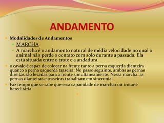 ANDAMENTO
 Modalidades de Andamentos
 MARCHA
 A marcha é o andamento natural de média velocidade no qual o
animal não perde o contato com solo durante a passada. Ela
está situada entre o trote e a andadura.
 o cavalo é capaz de colocar na frente tanto a perna esquerda dianteira
quanto a perna esquerda traseira. No passo seguinte, ambas as pernas
direitas são levadas para a frente simultaneamente. Nessa marcha, as
pernas dianteiras e traseiras trabalham em sincronia.
 Faz tempo que se sabe que essa capacidade de marchar ou trotar é
hereditária

 